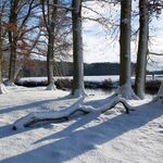 A. Klein: Hohenbostel Ilmenau Winter