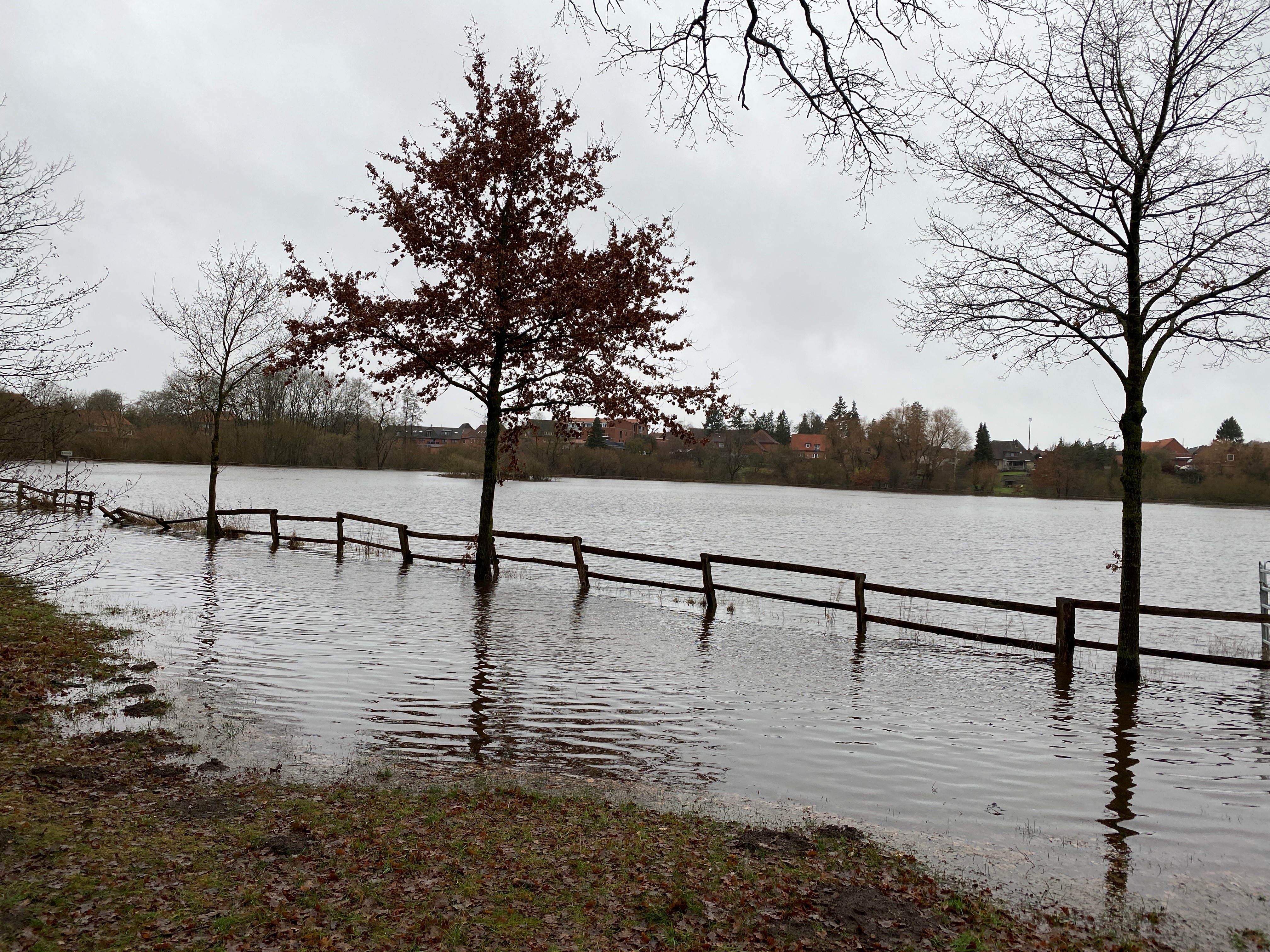 Hochwasser Ilmenau Bienenbüttel Januar 2024